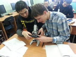 Работа с микроскопом - 10кл.